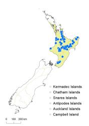 Lecanopteris novae-zealandiae distribution map based on databased records at AK, CHR & WELT.
 Image: K.Boardman © Landcare Research 2021 CC BY 4.0